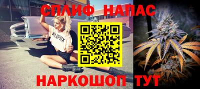 МДПВ Брянск