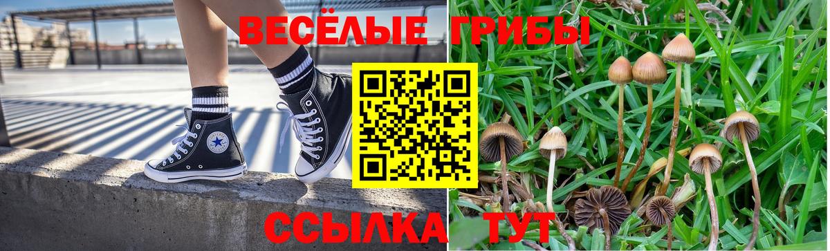 Кашира  Псилоцибиновые грибы MAGIC MUSHROOMS  наркотики  Вход с VPN 