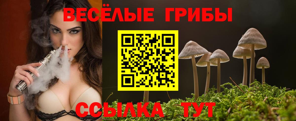 Псилоцибиновые грибы Psilocybine cubensis Кашира